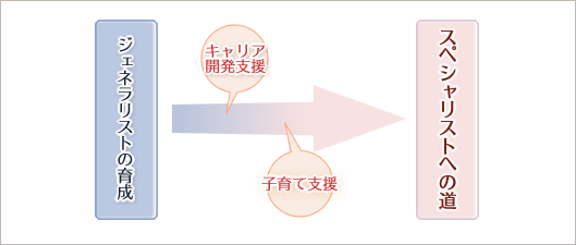 図：ジェネラリストの育成。キャリア開発支援・子育て支援を受けてスペシャリストへの道へ